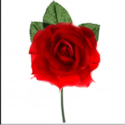 Flor flamenca mediana