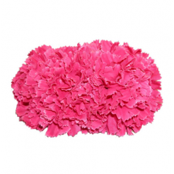 Tiara claveles