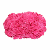 Tiara claveles
