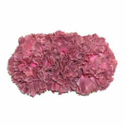 Tiara claveles