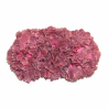 Tiara claveles