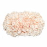 Tiara claveles
