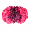 Tiara claveles