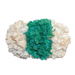Tiara claveles