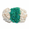 Tiara claveles